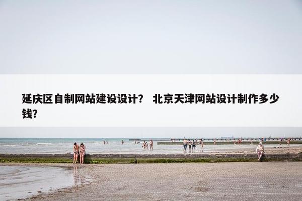 延庆区自制网站建设设计？ 北京天津网站设计制作多少钱？