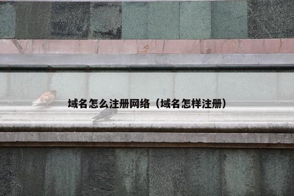 域名怎么注册网络（域名怎样注册）