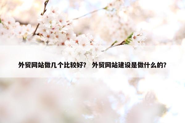 外贸网站做几个比较好？ 外贸网站建设是做什么的？