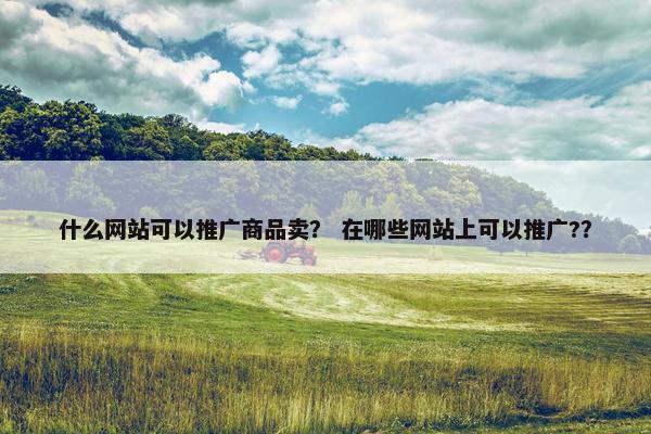 什么网站可以推广商品卖？ 在哪些网站上可以推广?？