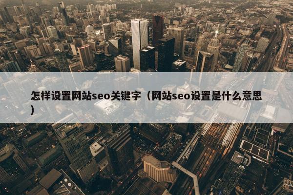 怎样设置网站seo关键字（网站seo设置是什么意思）