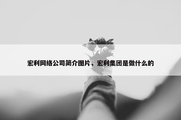 宏利网络公司简介图片，宏利集团是做什么的