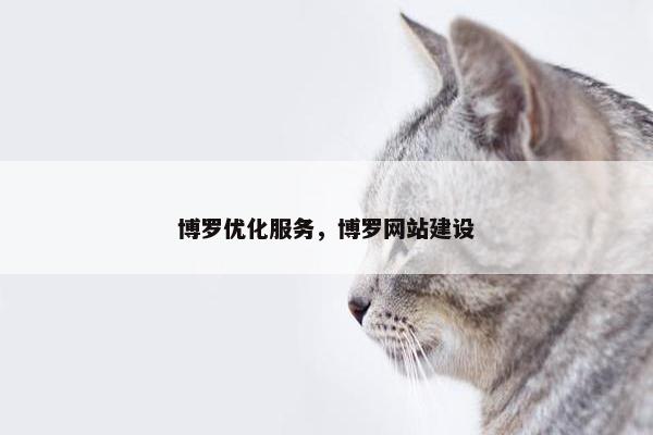 博罗优化服务，博罗网站建设