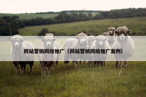 网站营销网络推广（网站营销网络推广案例）