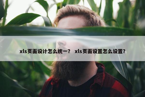 xls页面设计怎么统一？ xls页面设置怎么设置？