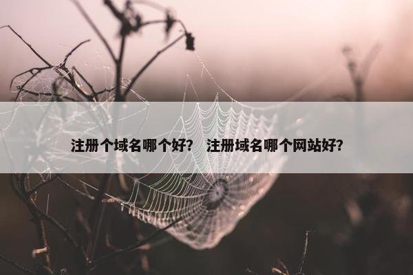 注册个域名哪个好？ 注册域名哪个网站好？