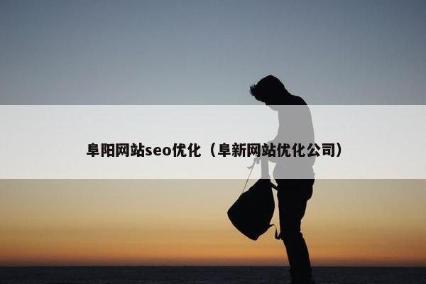 阜阳网站seo优化（阜新网站优化公司）