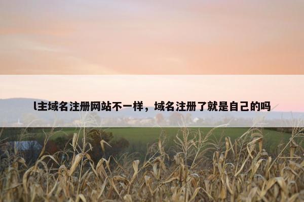 l主域名注册网站不一样，域名注册了就是自己的吗