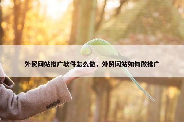 外贸网站推广软件怎么做，外贸网站如何做推广
