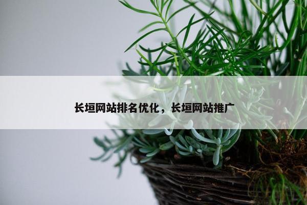 长垣网站排名优化，长垣网站推广