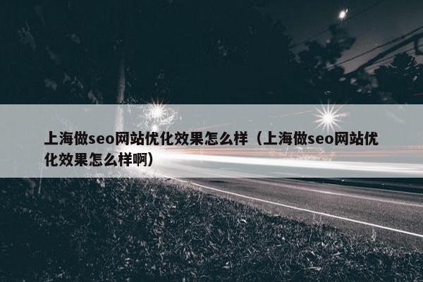 上海做seo网站优化效果怎么样（上海做seo网站优化效果怎么样啊）