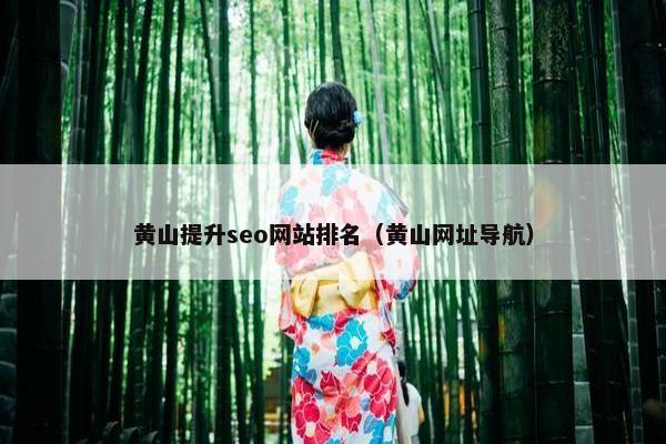黄山提升seo网站排名（黄山网址导航）