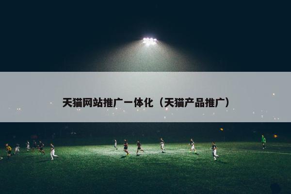 天猫网站推广一体化（天猫产品推广）