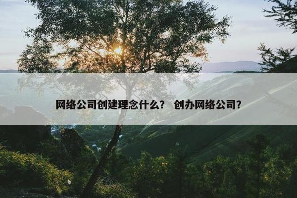 网络公司创建理念什么？ 创办网络公司？