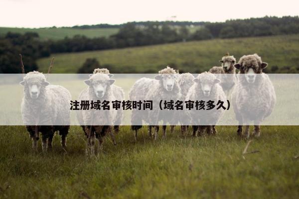 注册域名审核时间（域名审核多久）