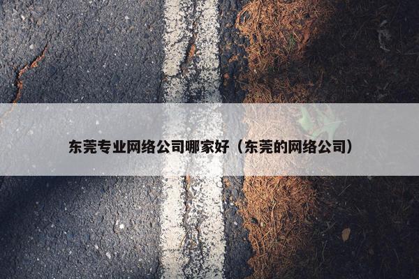 东莞专业网络公司哪家好（东莞的网络公司）