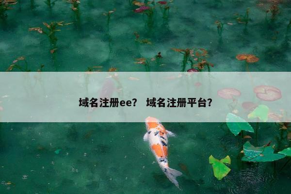 域名注册ee？ 域名注册平台？