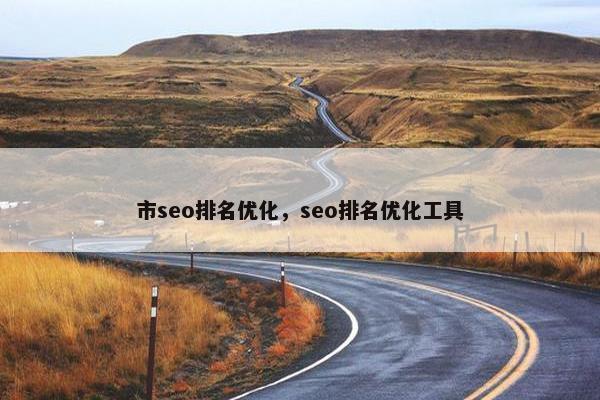 市seo排名优化，seo排名优化工具