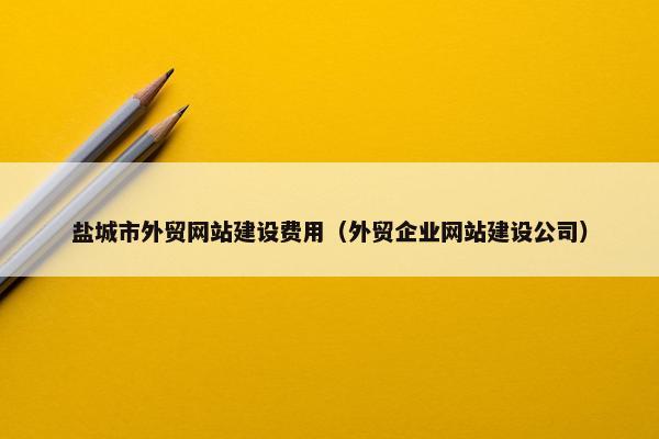 盐城市外贸网站建设费用（外贸企业网站建设公司）
