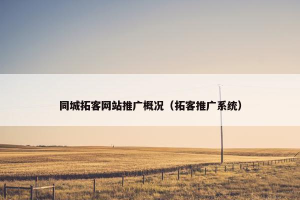 同城拓客网站推广概况（拓客推广系统）