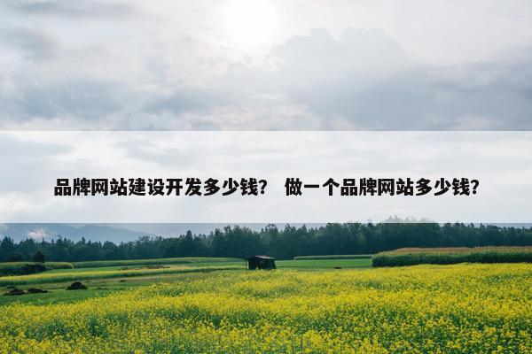 品牌网站建设开发多少钱？ 做一个品牌网站多少钱？