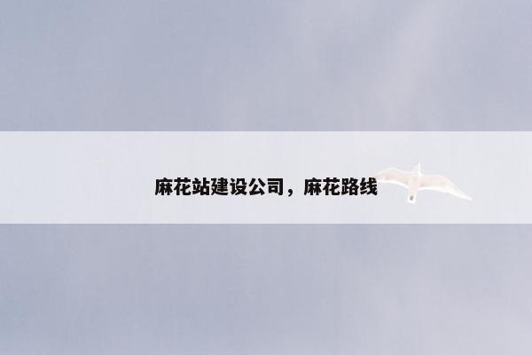 麻花站建设公司，麻花路线