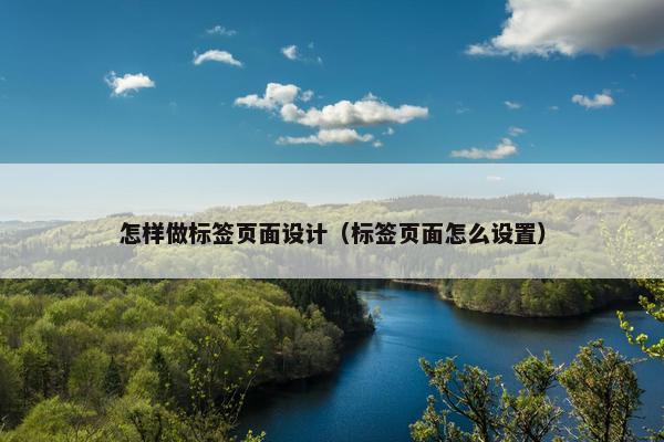 怎样做标签页面设计（标签页面怎么设置）
