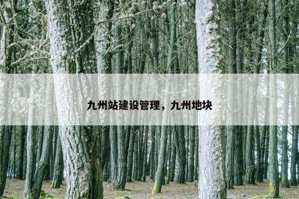 九州站建设管理，九州地块