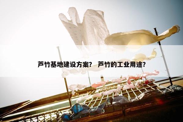 芦竹基地建设方案？ 芦竹的工业用途？