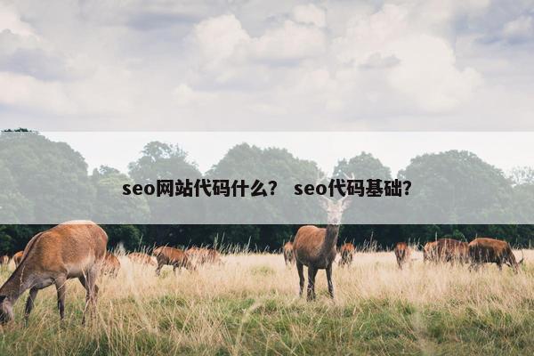 seo网站代码什么？ seo代码基础？