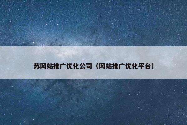 苏网站推广优化公司（网站推广优化平台）