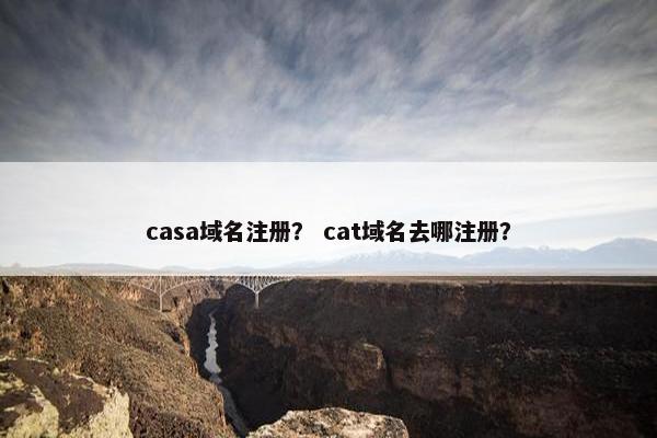 casa域名注册？ cat域名去哪注册？