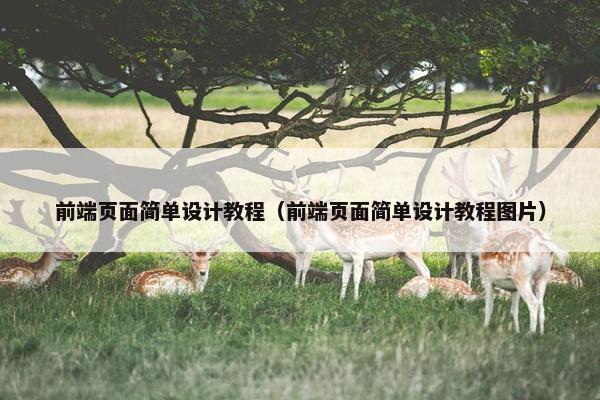 前端页面简单设计教程（前端页面简单设计教程图片）