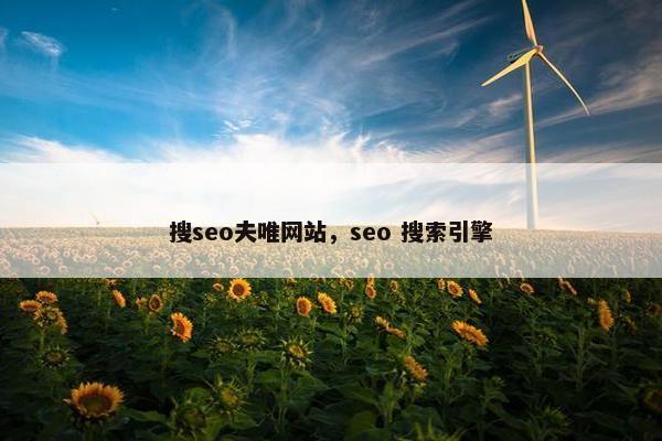 搜seo夫唯网站，seo 搜索引擎