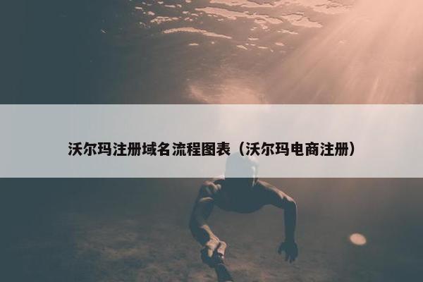 沃尔玛注册域名流程图表（沃尔玛电商注册）