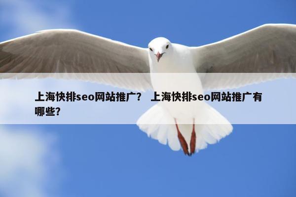 上海快排seo网站推广？ 上海快排seo网站推广有哪些？