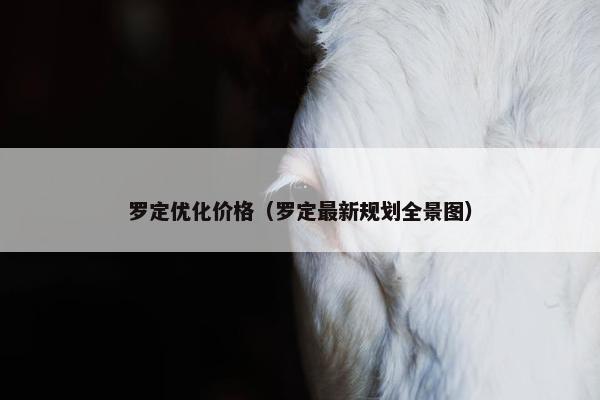 罗定优化价格（罗定最新规划全景图）