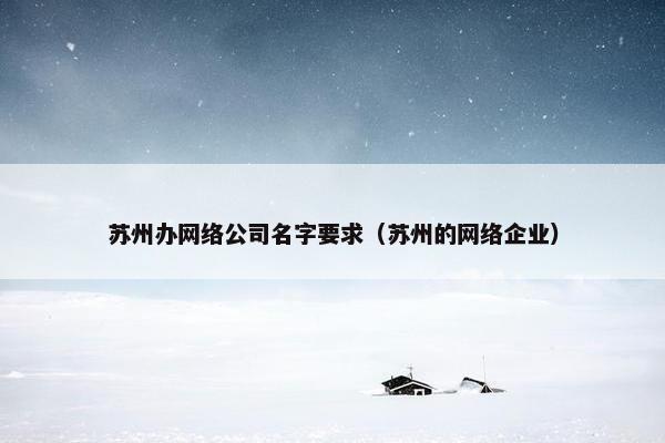 苏州办网络公司名字要求（苏州的网络企业）