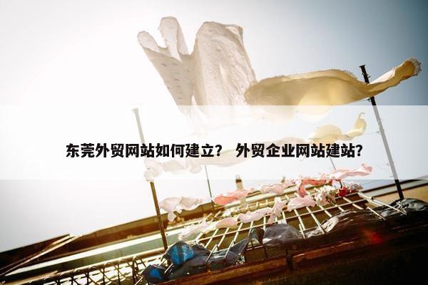 东莞外贸网站如何建立？ 外贸企业网站建站？