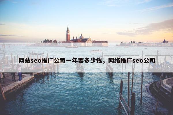 网站seo推广公司一年要多少钱，网络推广seo公司