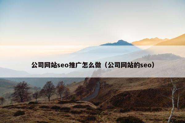 公司网站seo推广怎么做（公司网站的seo）