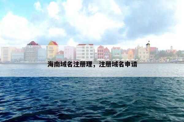 海南域名注册理，注册域名申请