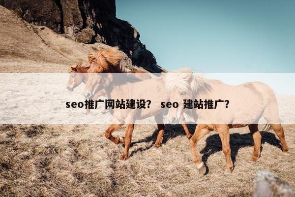 seo推广网站建设？ seo 建站推广？
