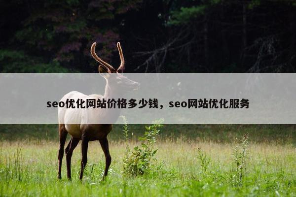 seo优化网站价格多少钱，seo网站优化服务