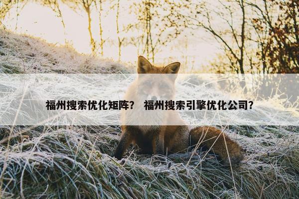 福州搜索优化矩阵？ 福州搜索引擎优化公司？