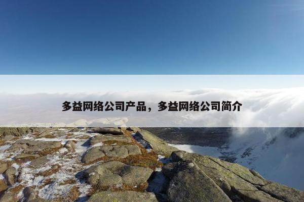 多益网络公司产品，多益网络公司简介