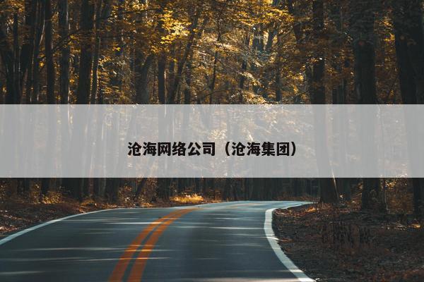沧海网络公司（沧海集团）