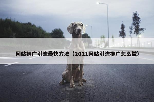 网站推广引流最快方法（2021网站引流推广怎么做）