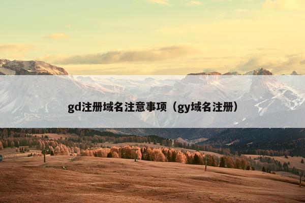 gd注册域名注意事项（gy域名注册）