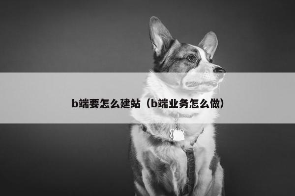 b端要怎么建站（b端业务怎么做）